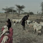 Empowering Local Communities: The Social Impact of Rennil Olchekut Ranch