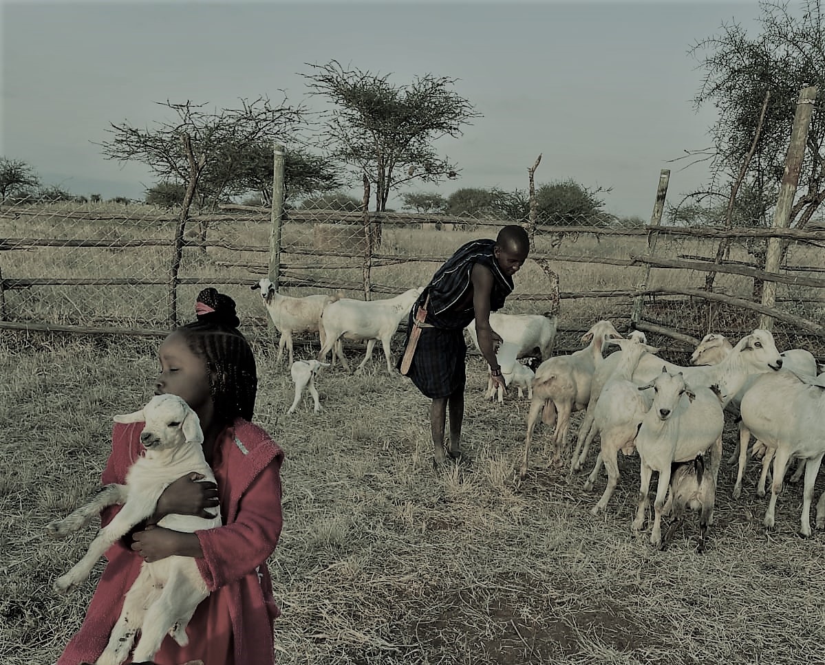 You are currently viewing Empowering Local Communities: The Social Impact of Rennil Olchekut Ranch