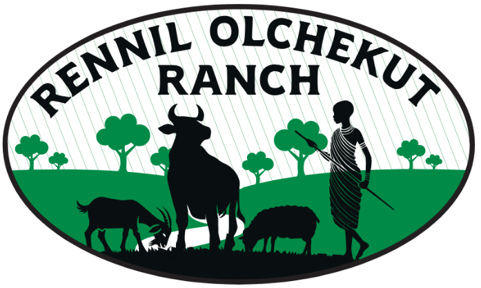 rennil olchekut ranch logo design 2026.pdf 20260719 130323 0000