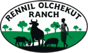 rennil olchekut brand9